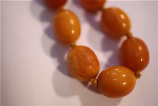 A single strand graduated amber bead necklace, 17in.